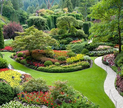Création de jardin